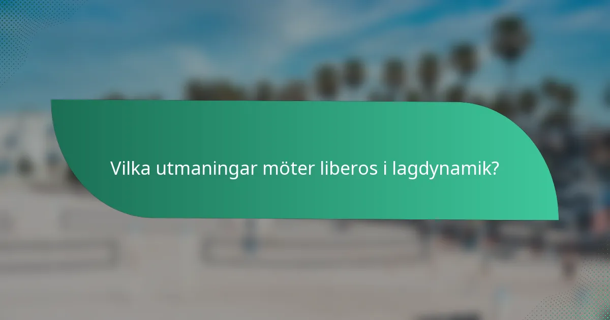 Vilka utmaningar möter liberos i lagdynamik?