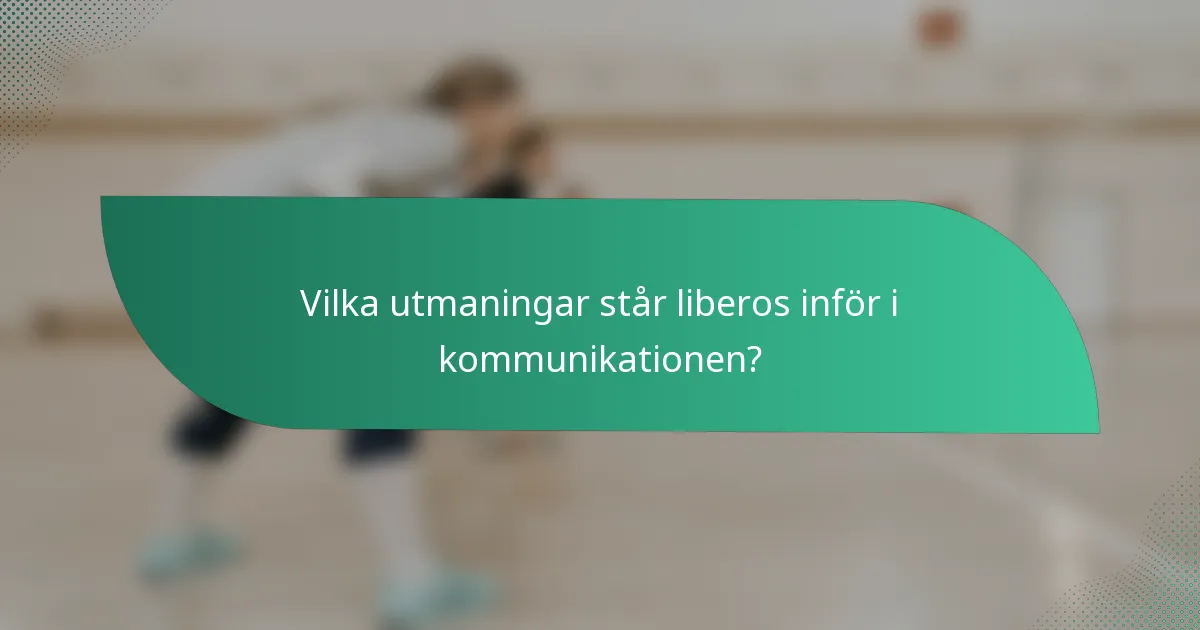Vilka utmaningar står liberos inför i kommunikationen?